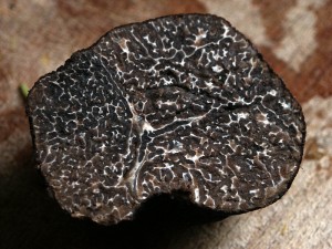 Black Truffle